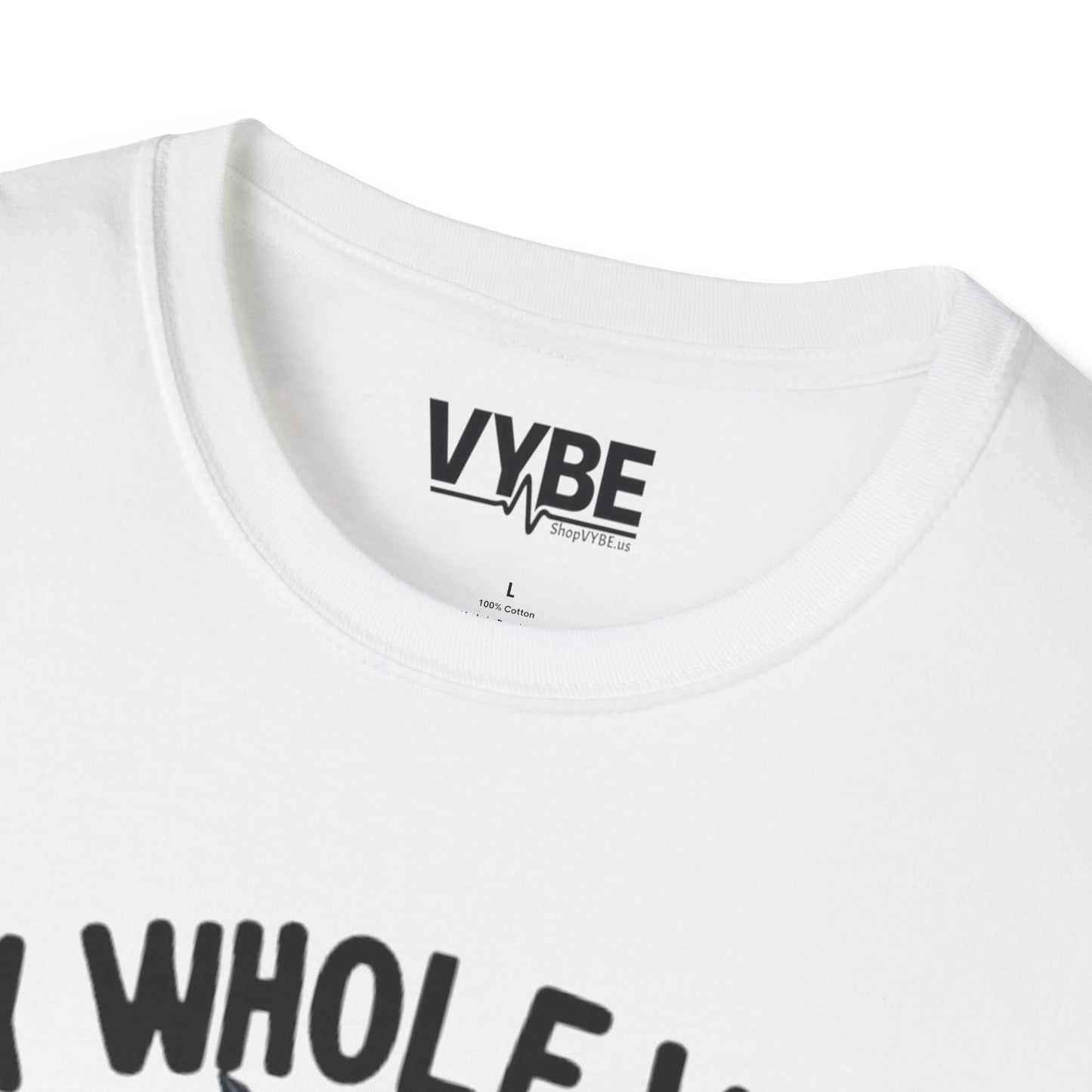 My Whole Vibe is On Do Not Disturb T-Shirt