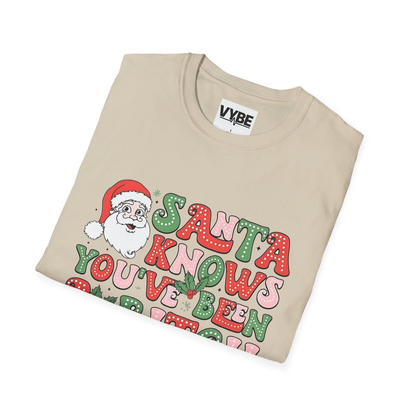 Christmas T-Shirt, Santa Funny Quote Tee, Holiday Vulgar Humor Shirt, Unisex Gift for Her, Gift for Him - VYBE Shop