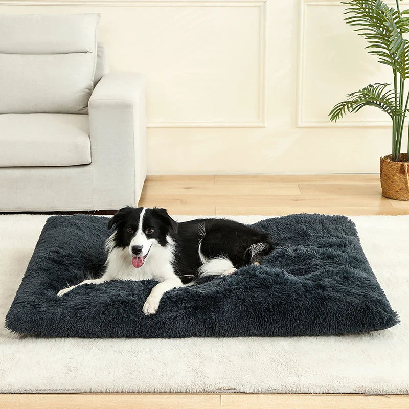 Plush Soft Dog & Cat Bed – Cozy Pet Sleeping Sofa - VYBE