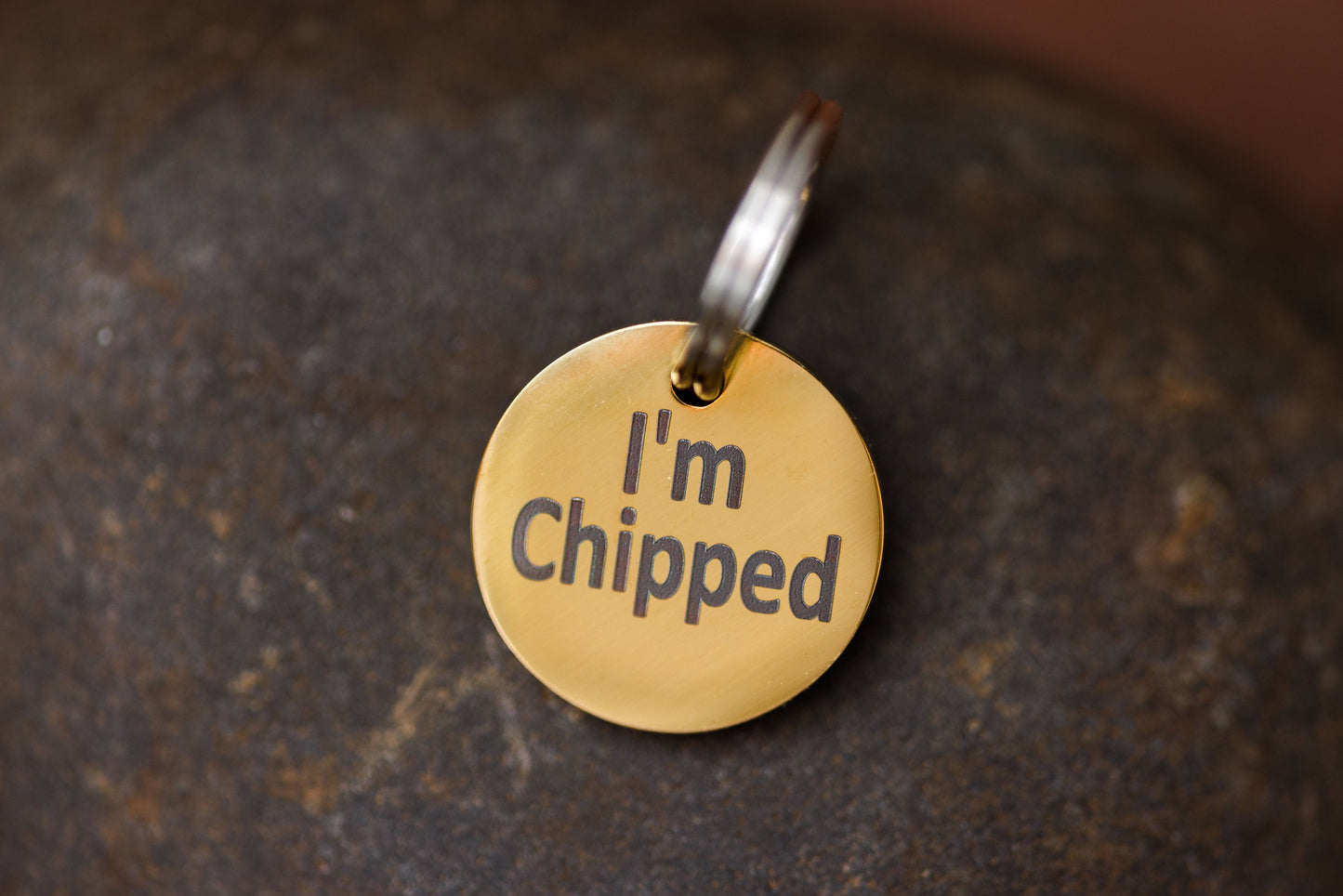 Stainless Steel "MICROCHIPPED" and "I'm Chipped" tags - VYBE