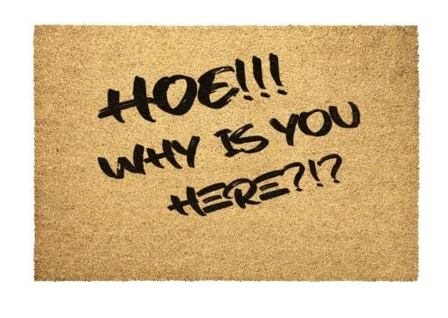 HOE!! Why Is You Here?!? Door Mat - VYBE Shop