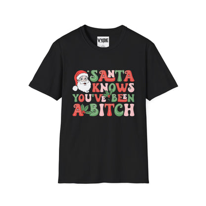 Christmas T-Shirt, Santa Funny Quote Tee, Holiday Vulgar Humor Shirt, Unisex Gift for Her, Gift for Him - VYBE Shop