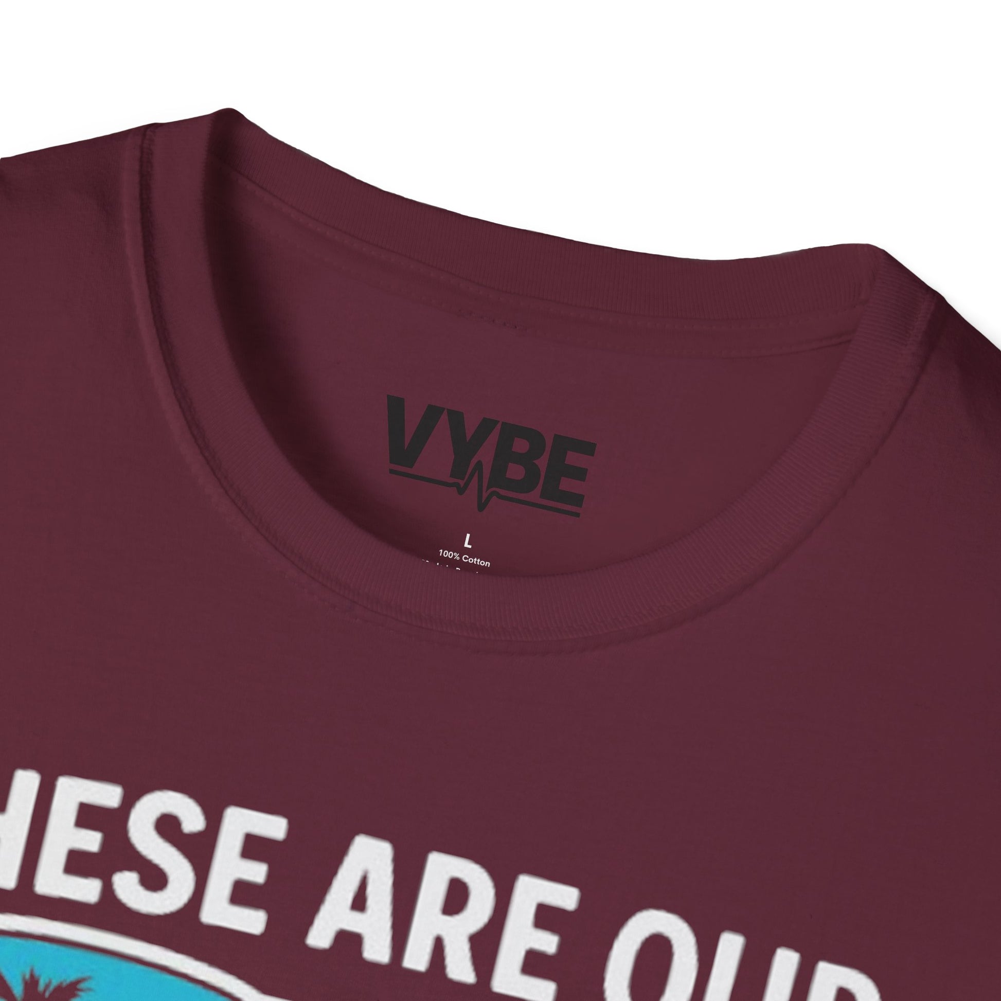 Summer- Dysfunctional Family Vacation T-Shirt, Funny Gift Idea - VYBE Shop