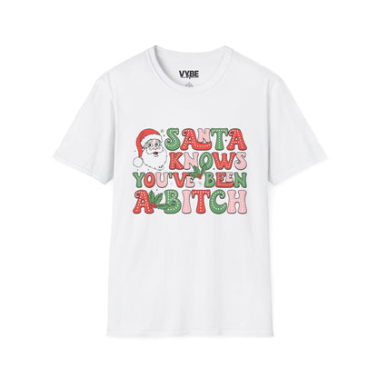 Christmas T-Shirt, Santa Funny Quote Tee, Holiday Vulgar Humor Shirt, Unisex Gift for Her, Gift for Him - VYBE Shop