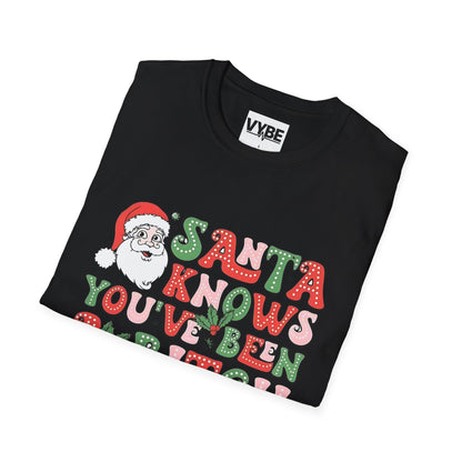 Christmas T-Shirt, Santa Funny Quote Tee, Holiday Vulgar Humor Shirt, Unisex Gift for Her, Gift for Him - VYBE Shop
