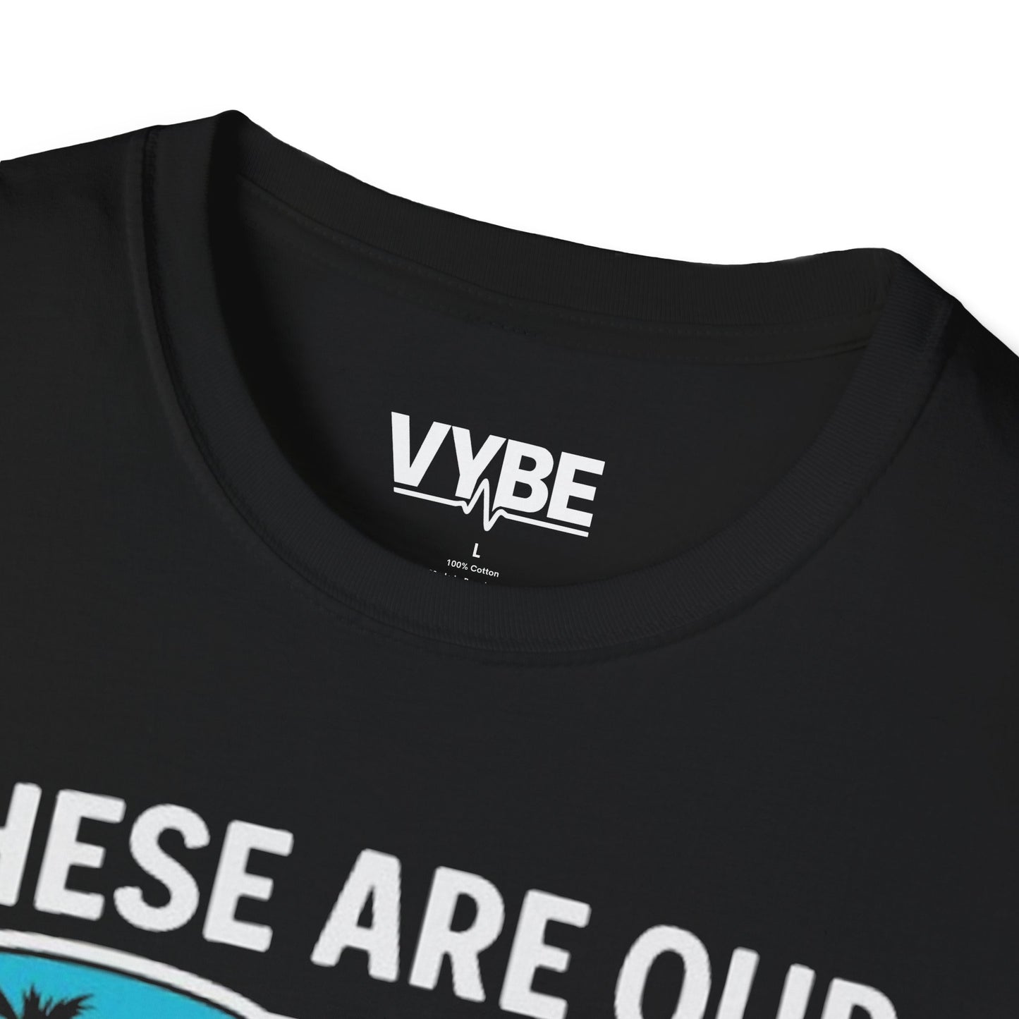 Summer- Dysfunctional Family Vacation T-Shirt, Funny Gift Idea - VYBE Shop