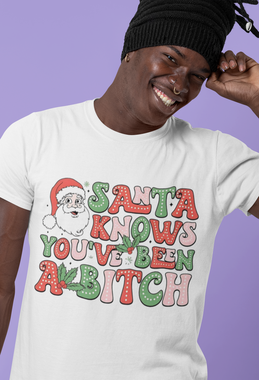 Christmas T-Shirt, Santa Funny Quote Tee, Holiday Vulgar Humor Shirt, Unisex Gift for Her, Gift for Him - VYBE Shop
