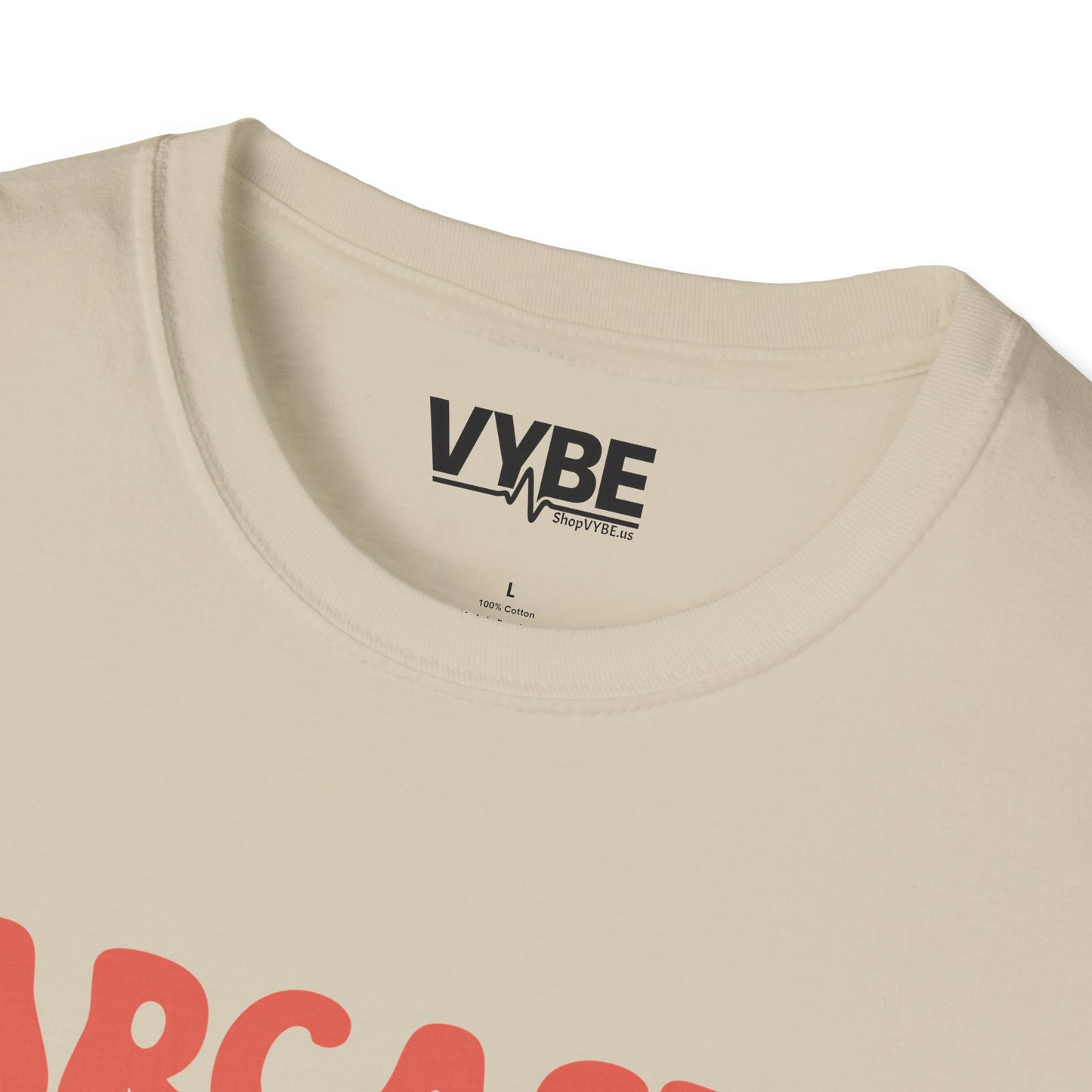 Sarcastic Comment T-Shirt