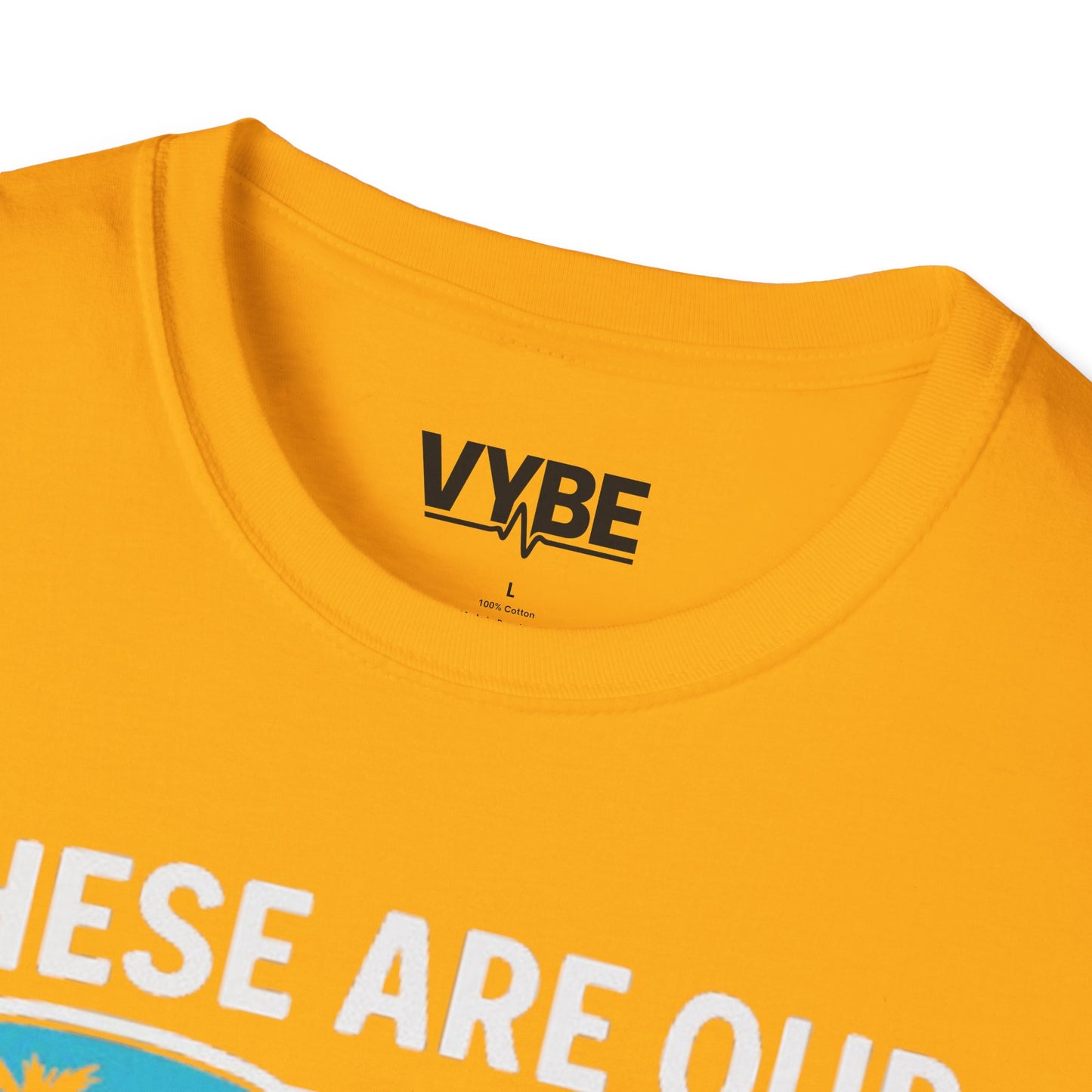 Summer- Dysfunctional Family Vacation T-Shirt, Funny Gift Idea - VYBE Shop