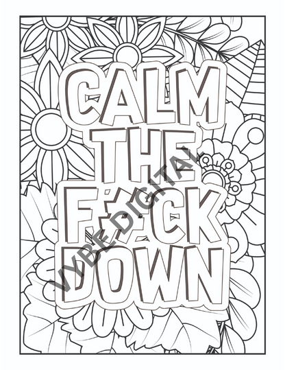 Vulgar Words Coloring- 100 pages