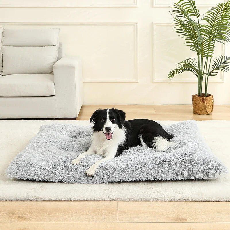 Plush Soft Dog & Cat Bed – Cozy Pet Sleeping Sofa - VYBE