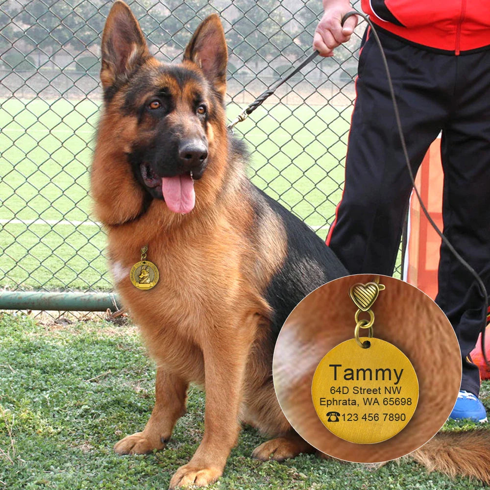 Personalized Dog ID Tag - Bring Your Lost Pet Home Safely - VYBE