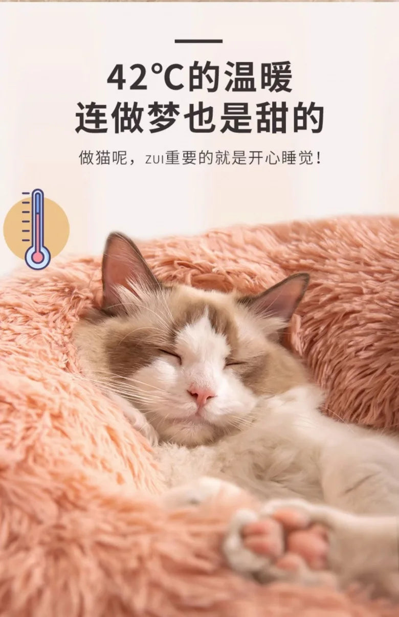 All-Season Cat Beds - VYBE