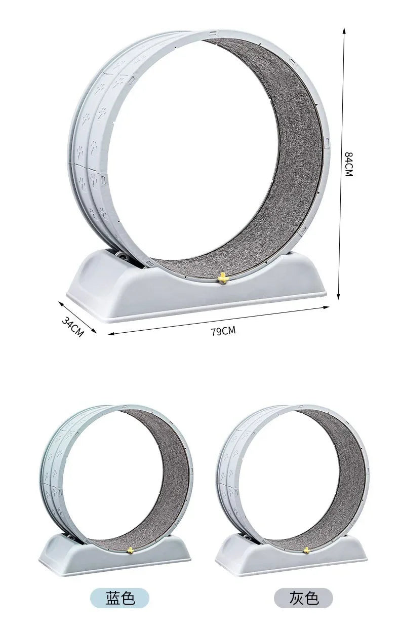 Silent Cat Exercise Wheel - VYBE