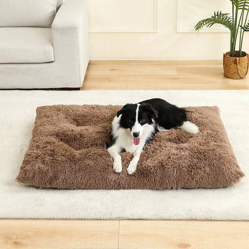 Plush Soft Dog & Cat Bed – Cozy Pet Sleeping Sofa - VYBE
