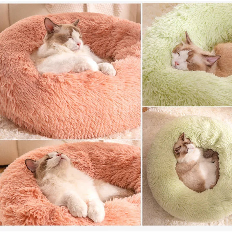 All-Season Cat Beds - VYBE