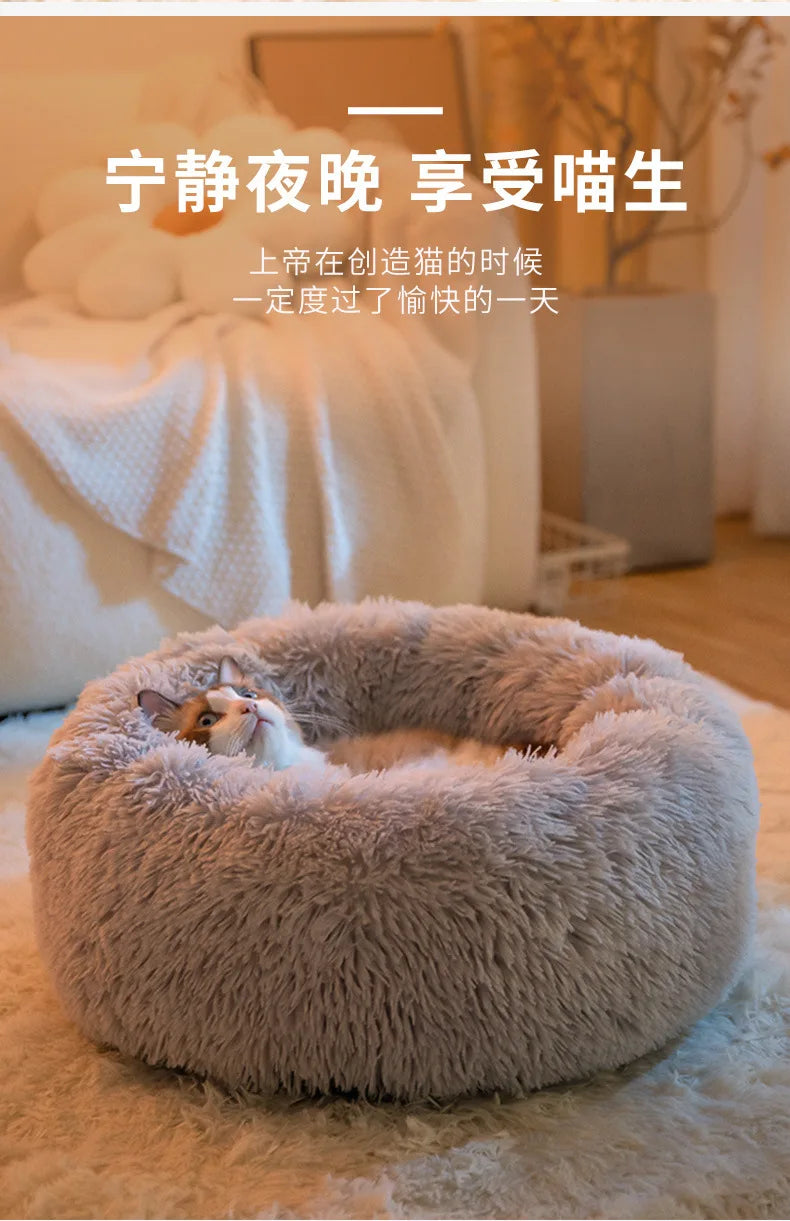 All-Season Cat Beds - VYBE