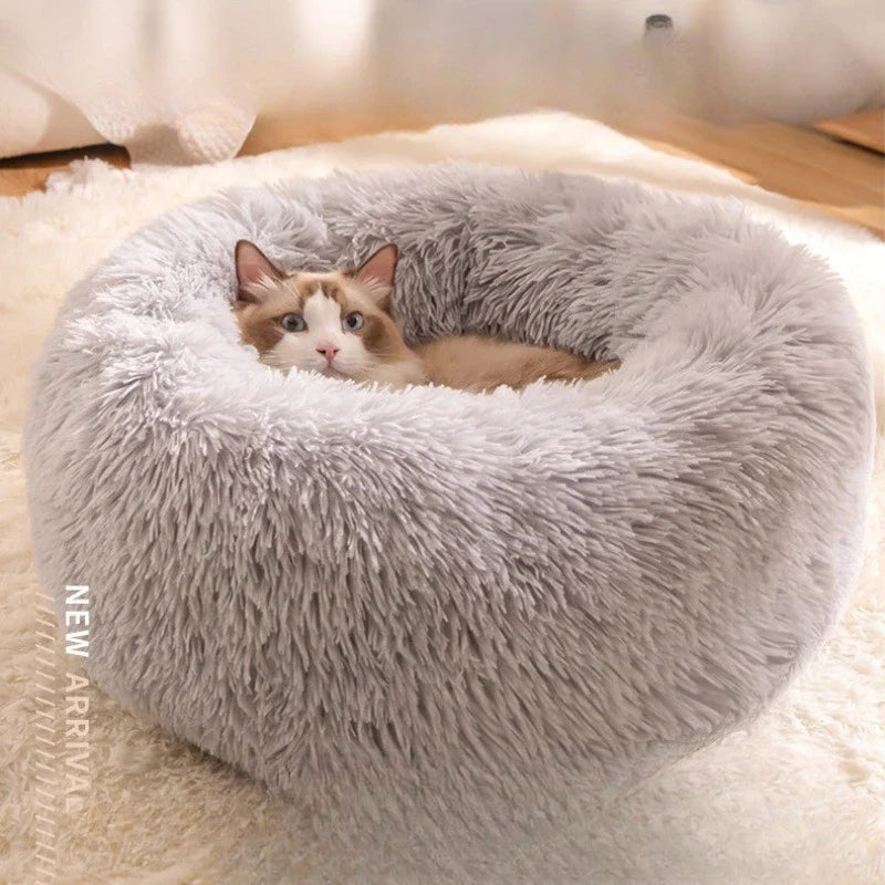 All-Season Cat Beds - VYBE