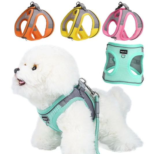 Adjustable Dog Harness & Leash Set for Small Dogs – Comfortable & Safe Walking Gear - VYBE