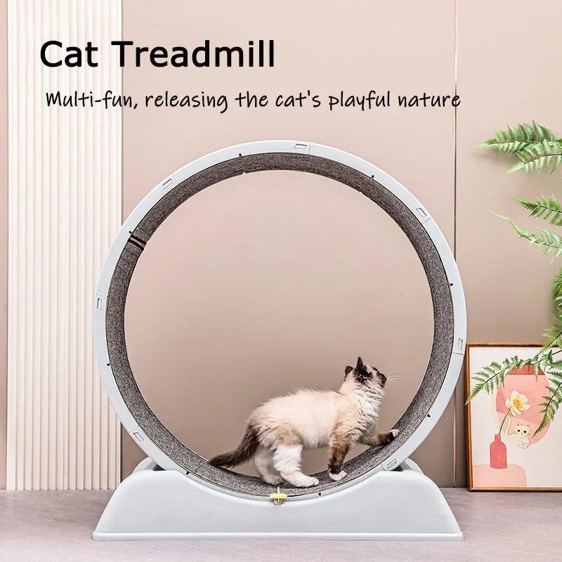 Silent Cat Exercise Wheel - VYBE
