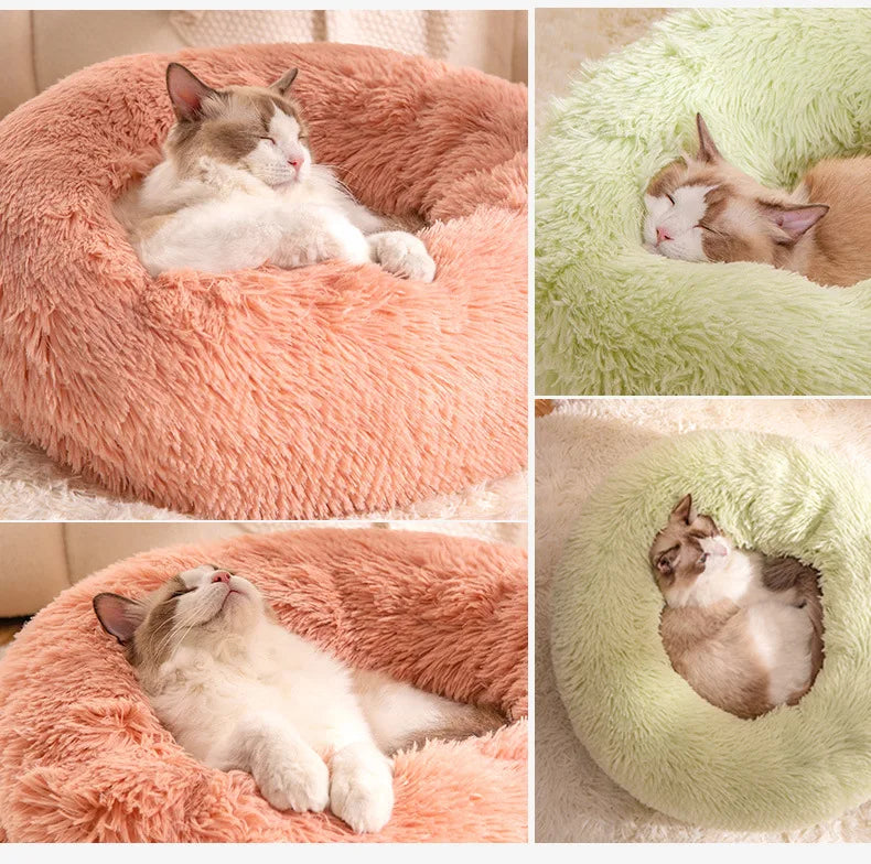 All-Season Cat Beds - VYBE