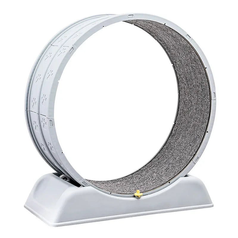 Silent Cat Exercise Wheel - VYBE