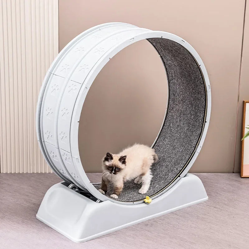 Silent Cat Exercise Wheel - VYBE