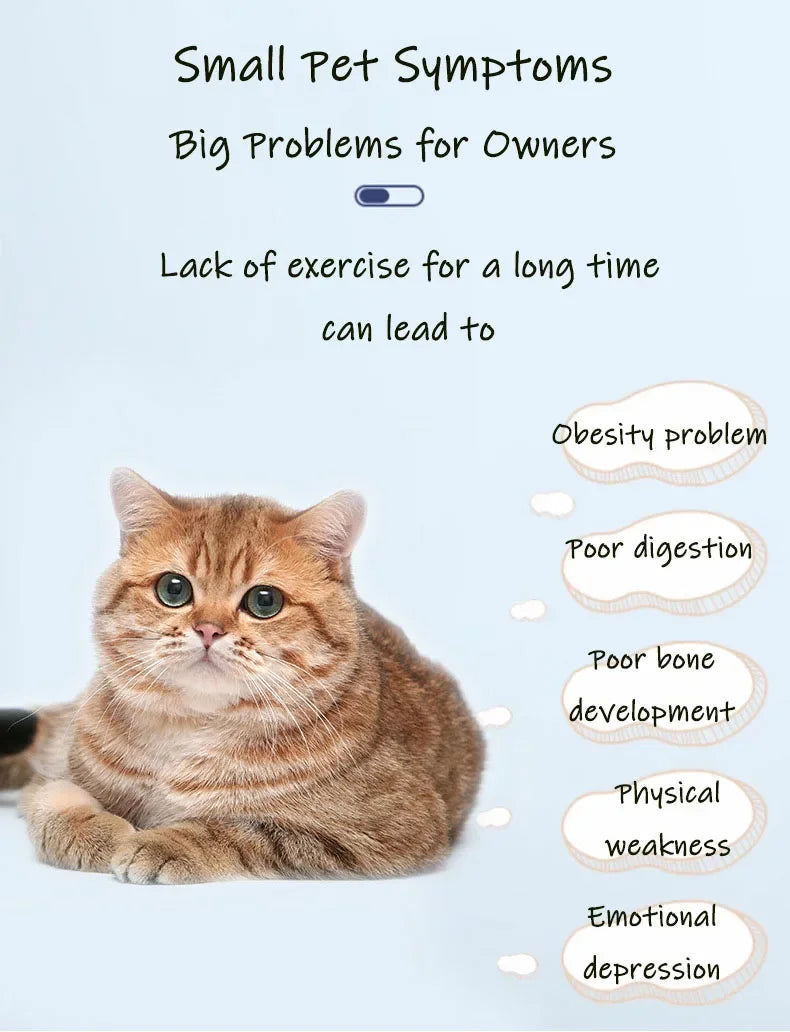 Silent Cat Exercise Wheel - VYBE