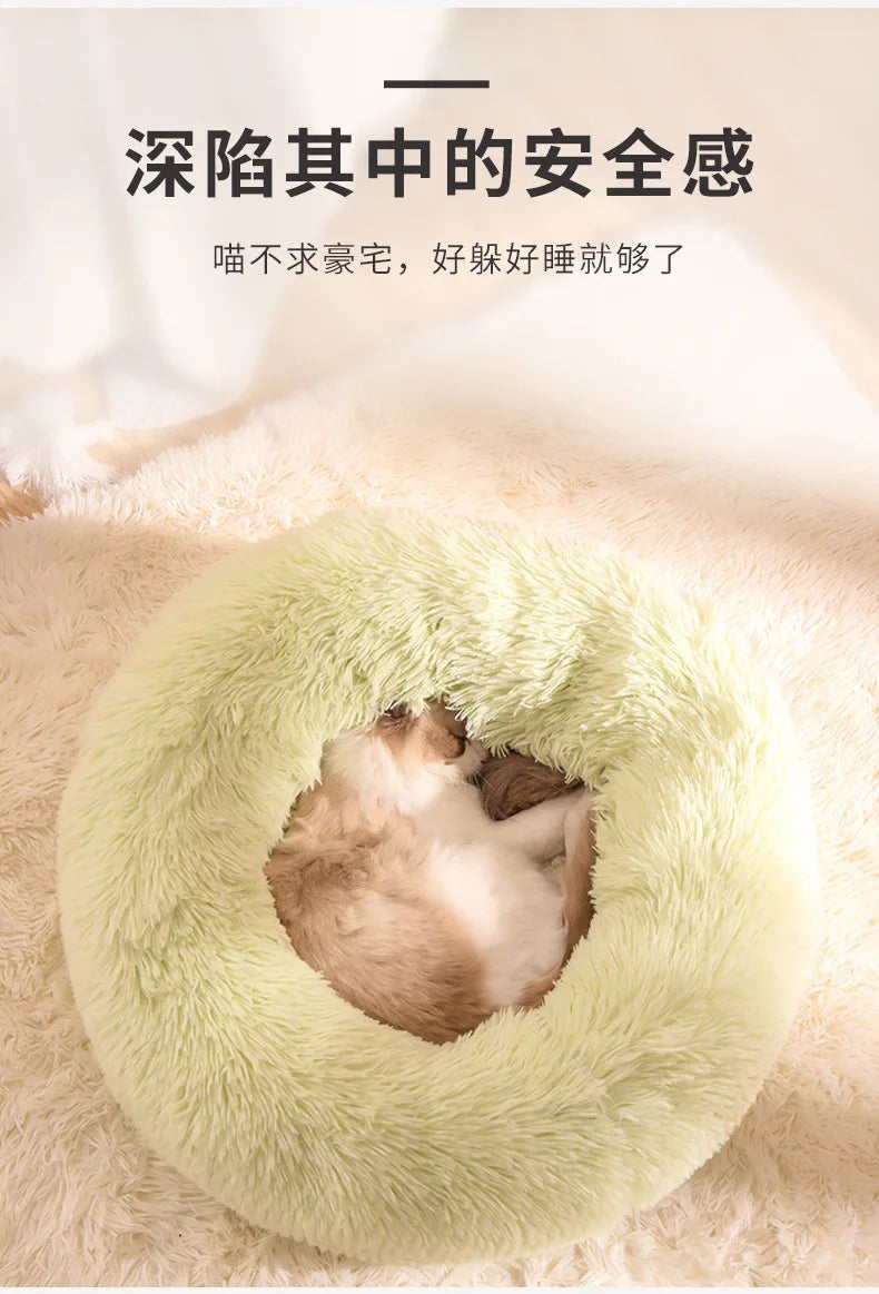 All-Season Cat Beds - VYBE