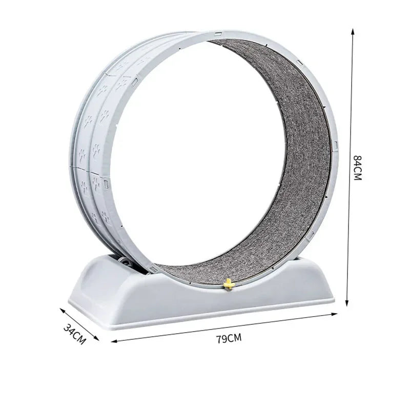 Silent Cat Exercise Wheel - VYBE