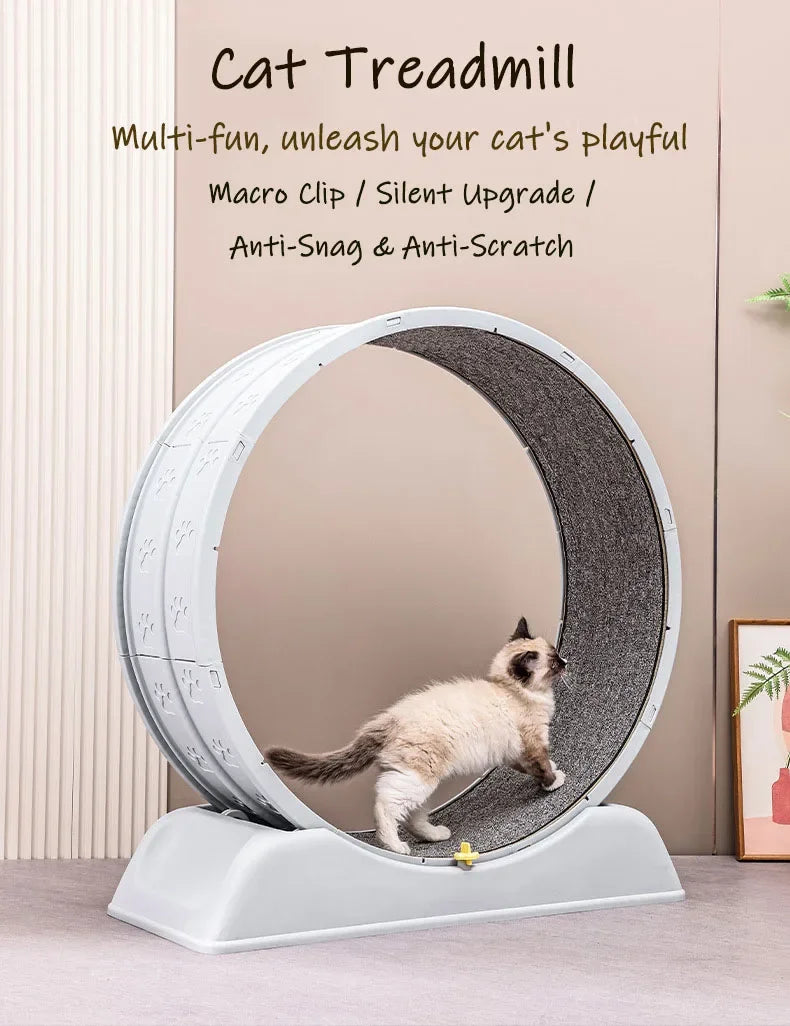 Silent Cat Exercise Wheel - VYBE