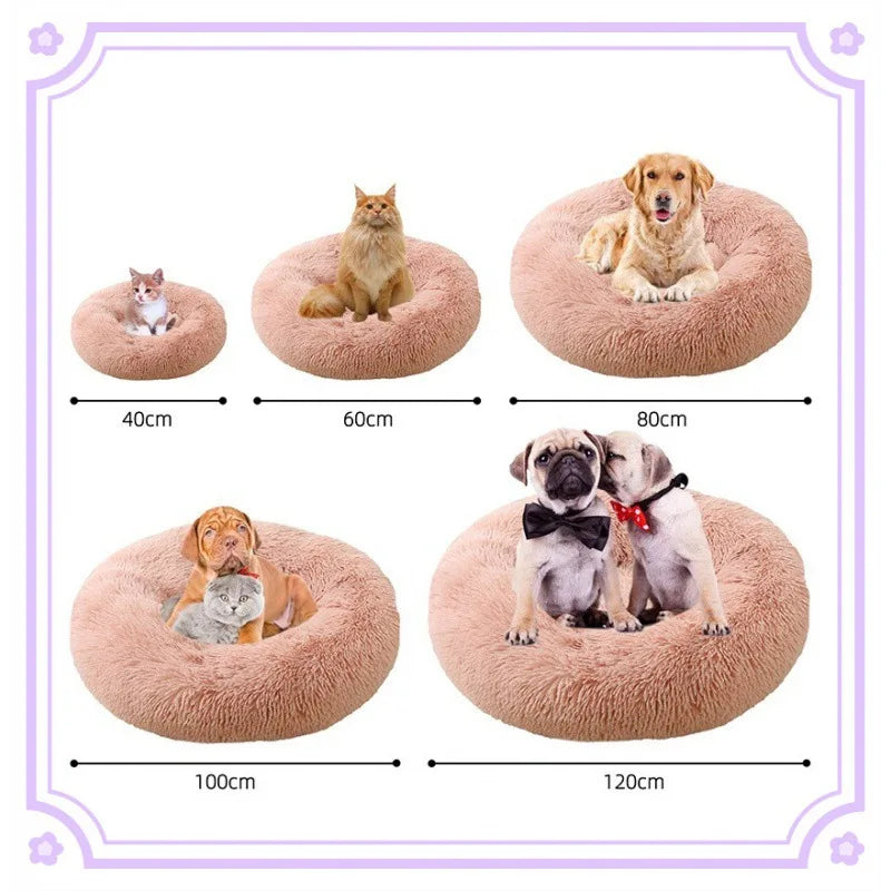 All-Season Cat Beds - VYBE