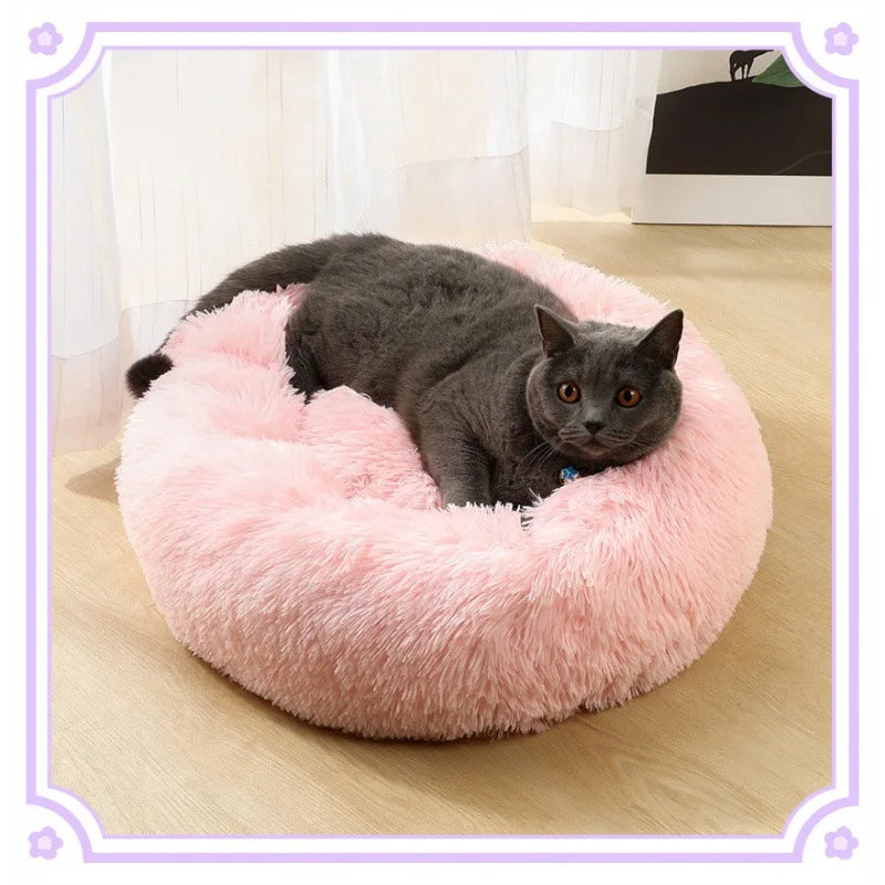All-Season Cat Beds - VYBE