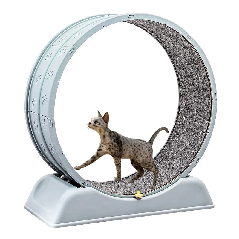 Silent Cat Exercise Wheel - VYBE