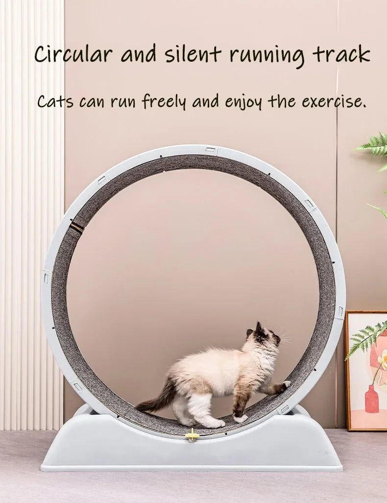 Silent Cat Exercise Wheel - VYBE
