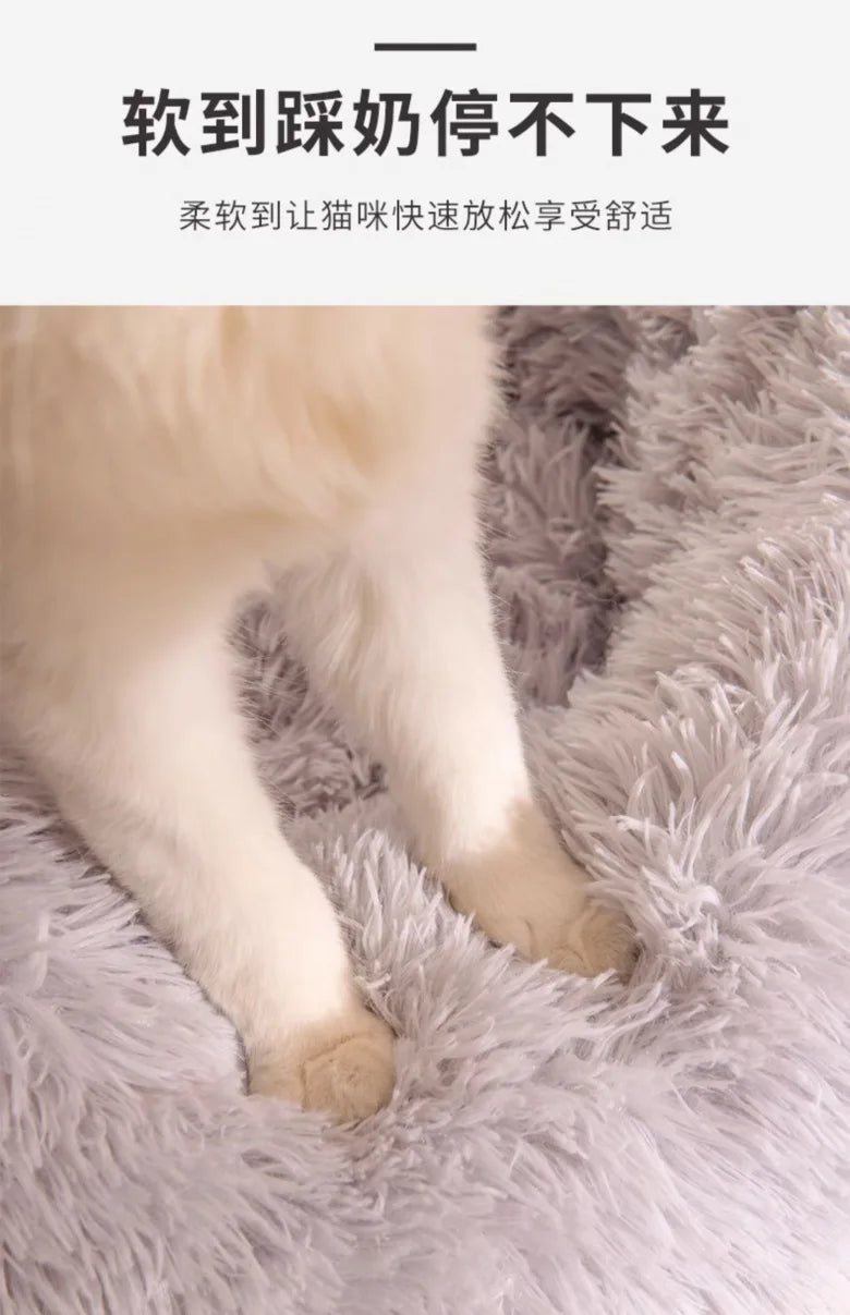 All-Season Cat Beds - VYBE