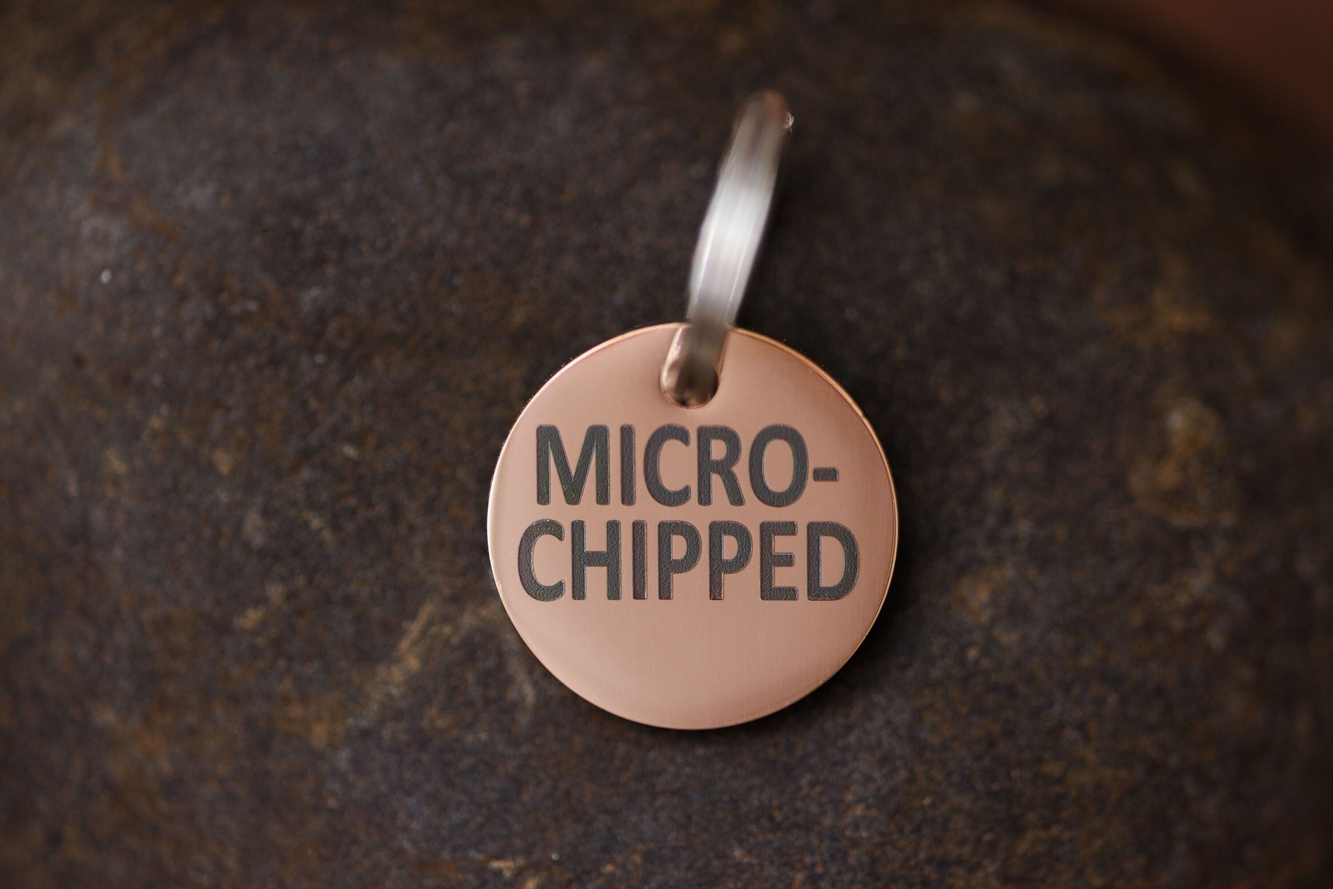 Stainless Steel "MICROCHIPPED" and "I'm Chipped" tags - VYBE