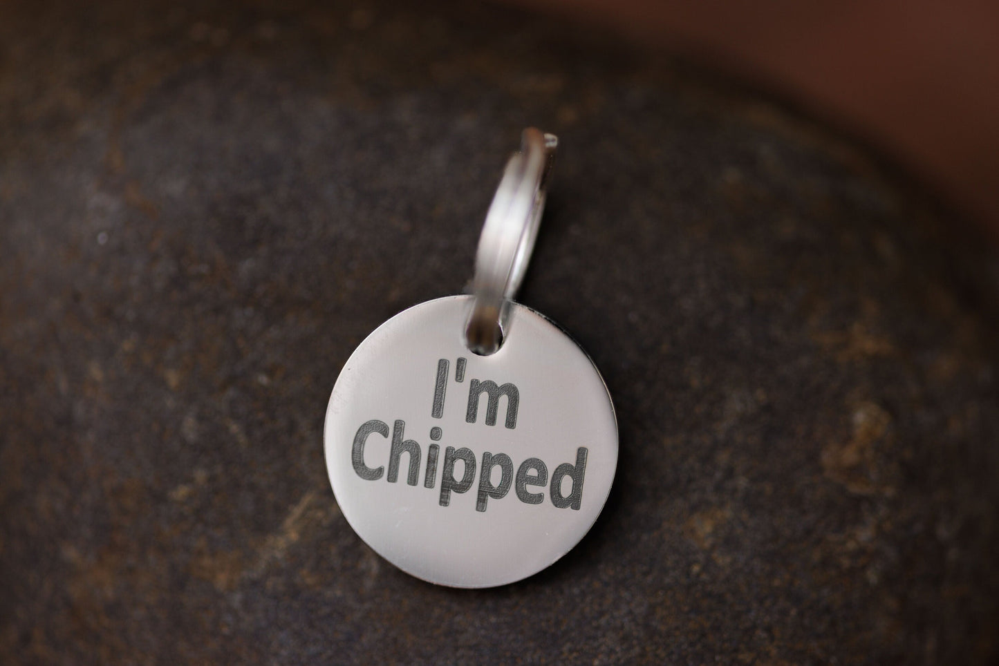 Stainless Steel "MICROCHIPPED" and "I'm Chipped" tags - VYBE