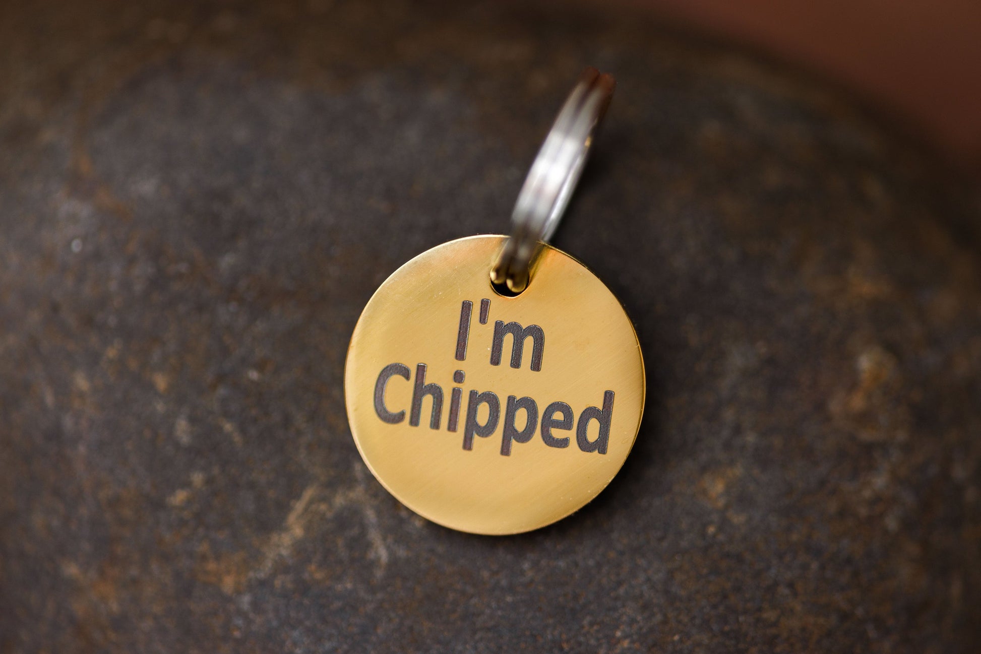 Stainless Steel "MICROCHIPPED" and "I'm Chipped" tags - VYBE