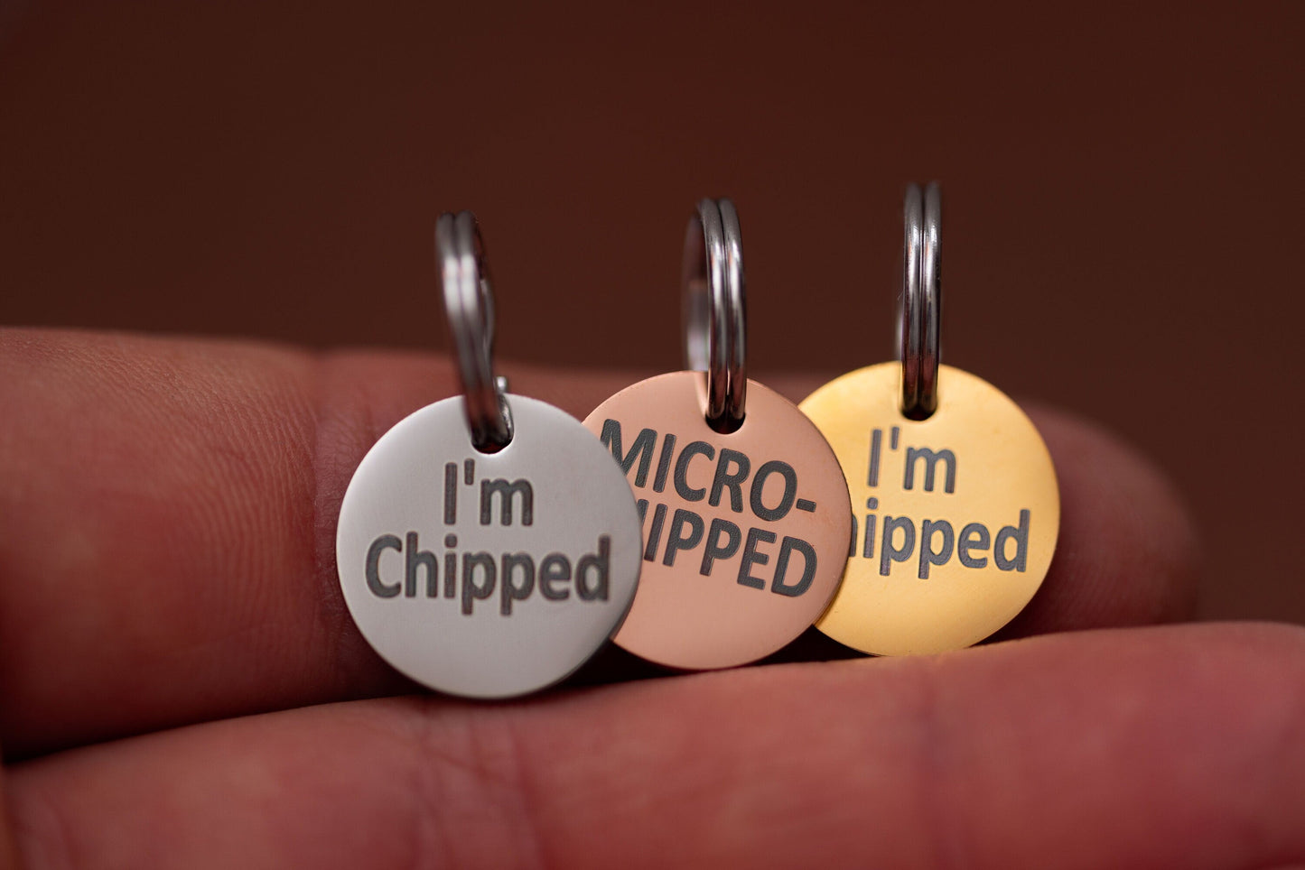 Stainless Steel "MICROCHIPPED" and "I'm Chipped" tags - VYBE